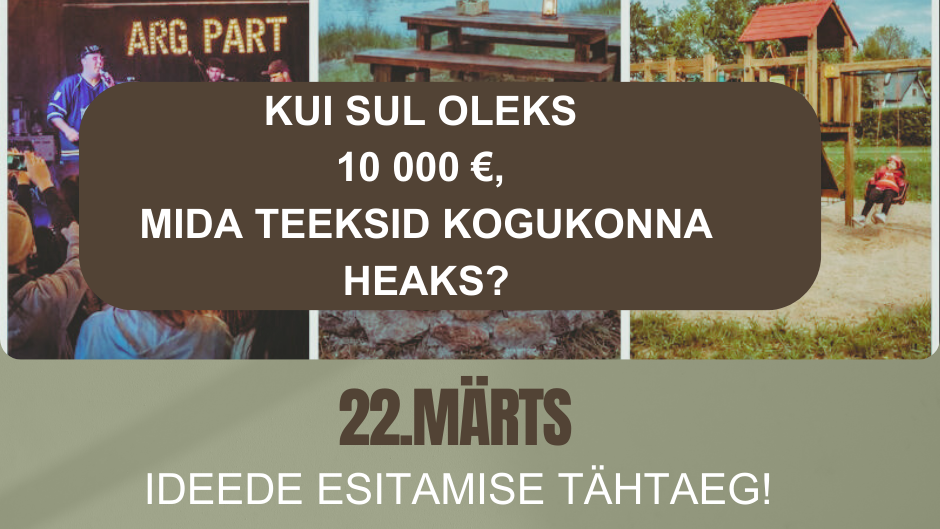 Kaasav eelarve_plakat.png
