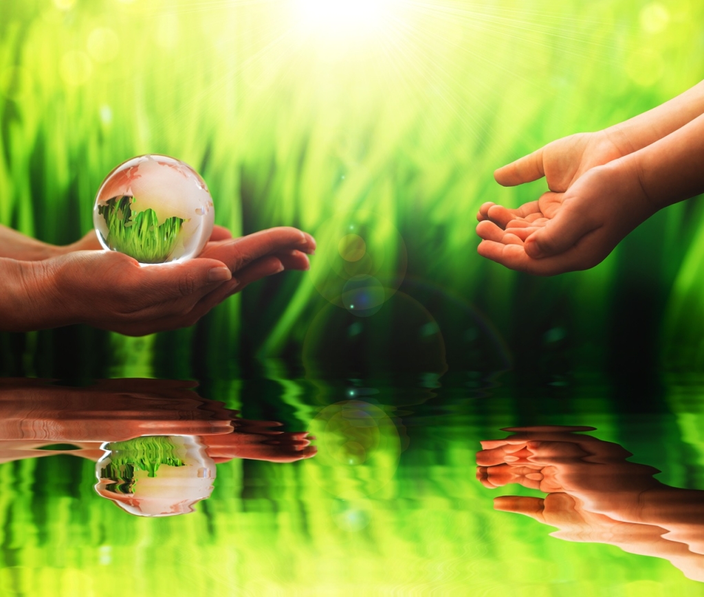 environmental-conservation-2026-01-05-00-28-20-utc.jpg