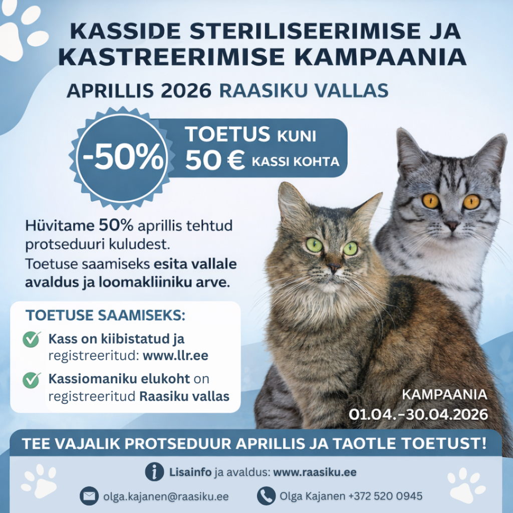 kassid 3_2 (1).png